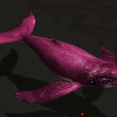 ����BOSS��ɱ�Ŷ������뿪��ʵս����ȫ����